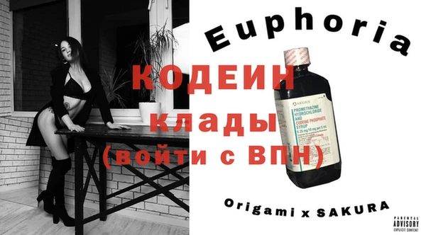 прущий лед Новозыбков