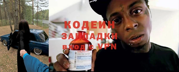 спиды Няндома