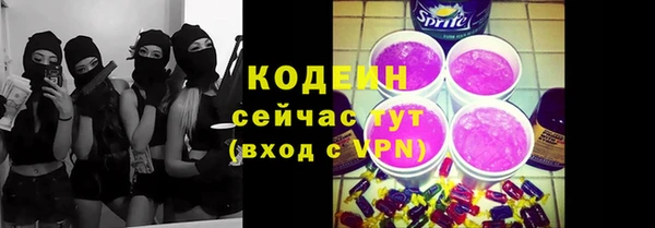 прущий лед Новозыбков