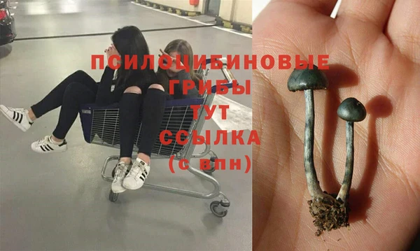 ECSTASY Нязепетровск