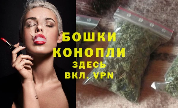 ГАЛЛЮЦИНОГЕННЫЕ ГРИБЫ Новокубанск
