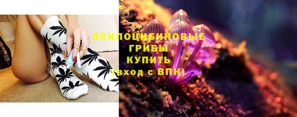 ГАЛЛЮЦИНОГЕННЫЕ ГРИБЫ Новокубанск