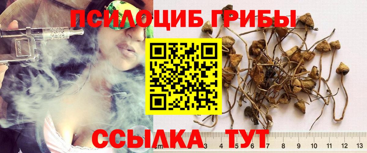 Новоалександровск  Галлюциногенные грибы MAGIC MUSHROOMS  Псилоцибиновые грибы MAGIC MUSHROOMS  Вход с VPN 