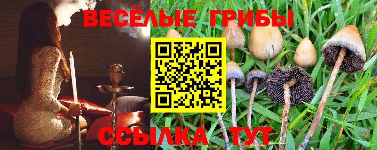 Псилоцибиновые грибы мухоморы Новоалександровск